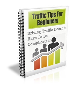 Traffic Tips for Beginners