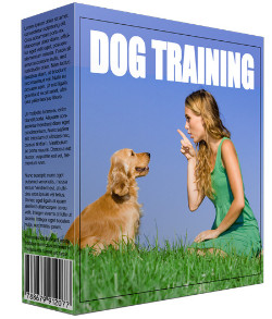New Dog Training Information Software