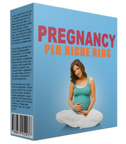 Pregnancy PLR Niche Blog
