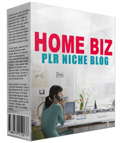 Home Biz PLR Niche Blog