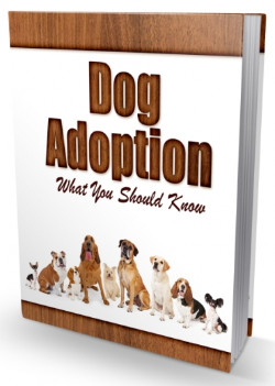 Dog Adoption Newsletter